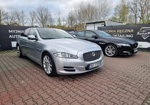 Jaguar XJ cena 62000 przebieg: 224000, rok produkcji 2011 z Mirosławiec małe 407